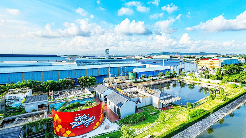 Một góc Khu công nghiệp Nam Cầu Kiền.
