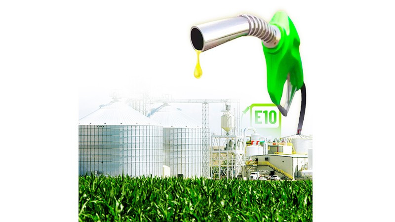 Nguồn cung ethanol là yếu tố then chốt quyết định sự thành công của lộ trình chuyển đổi nhiên liệu sinh học tại Việt Nam. Đồ họa: ANH QUÂN