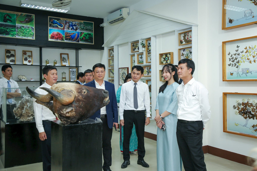 Từ rừng Trường Sơn đến đầm phá Tam Giang