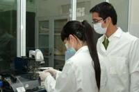 (Ảnh minh họa: CP)