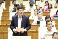 Đại biểu Đỗ Đức Hiển (Đoàn Thành phố Hồ Chí Minh) phát biểu. (Ảnh: DUY LINH)