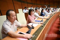 Đại biểu Quốc hội bấm nút thông qua Nghị quyết của Quốc hội về giảm thuế giá trị gia tăng. (Ảnh: DUY LINH)