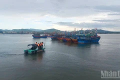 Bộ đội Biên phòng Quảng Trị kêu gọi tàu thuyền khẩn trương vào nơi neo đậu an toàn.