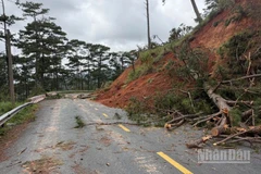 Điểm sạt lở do mưa lũ tại đèo D'Ran đã được xử lý, tới ngày 12/12 các phương tiện dưới 5 tấn đã có thể đi lại.