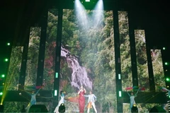 Chương trình Phong Nha Countdown Party đón năm mới tại Phong Nha, tỉnh Quảng Trị luôn hấp dẫn người dân và du khách. (Ảnh minh họa)