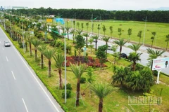 Ảnh minh họa.