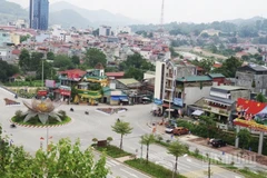 Ảnh minh họa.