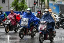 (Ảnh minh họa: THÀNH ĐẠT)