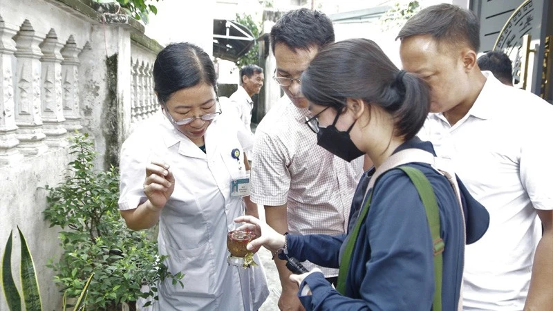Cán bộ y tế Hà Nội giám sát, điều tra véc tơ truyền bệnh sốt xuất huyết tại cộng đồng.