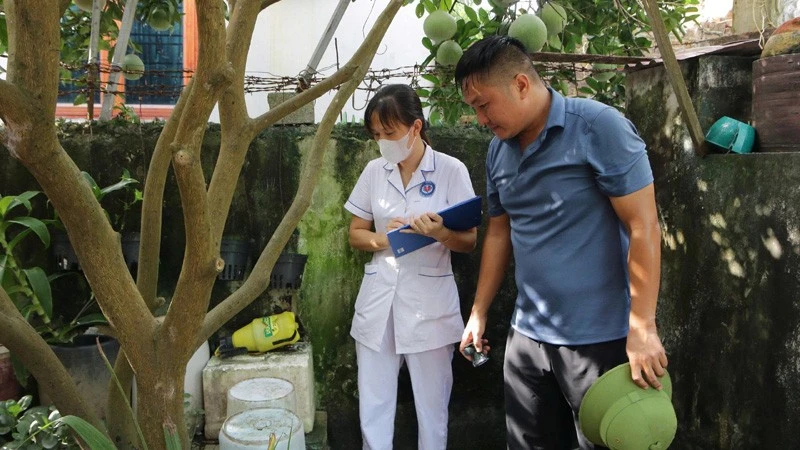 Cán bộ y tế đang giám sát chỉ số bọ gậy tại hộ gia đình trên địa bàn Hà Nội.