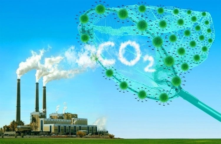 Ảnh minh hoạ. (Nguồn: TL) giam-phat-thai-carbon.jpg