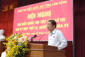 Đồng chí Phan Đình Trạc phát biểu.
