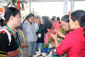 Lễ hội thu hút nhiều du khách đến tham quan. (Ảnh: QUÝ NGỌC)