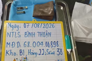 Lực lượng chức năng phát hiện nhiều di vật khi khai quật mộ. (Ảnh: Hữu Phong)