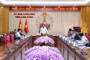 Lãnh đạo tỉnh làm việc với các công ty.