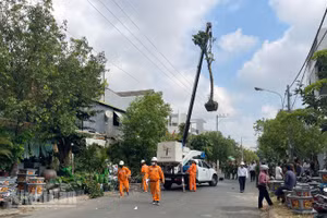 Ngành điện khắc phục sự cố.