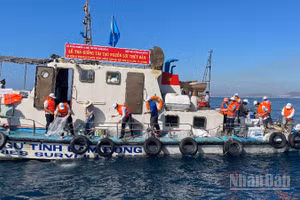 Lãnh đạo Sở Nông nghiệp và Môi trường tỉnh Lâm Đồng thả cá ngoài biển.