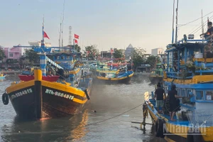 Đến năm 2030, tỉnh sẽ còn khoảng 7.200 tàu cá.