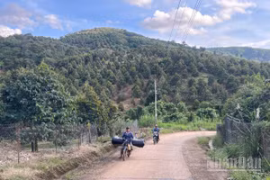 Lâm Đồng làm rõ số liệu diện tích rừng tự nhiên bị giảm hơn 17.700ha.