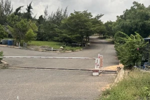 Dự án Sân Golf Hòn Rơm chưa nộp thuế.