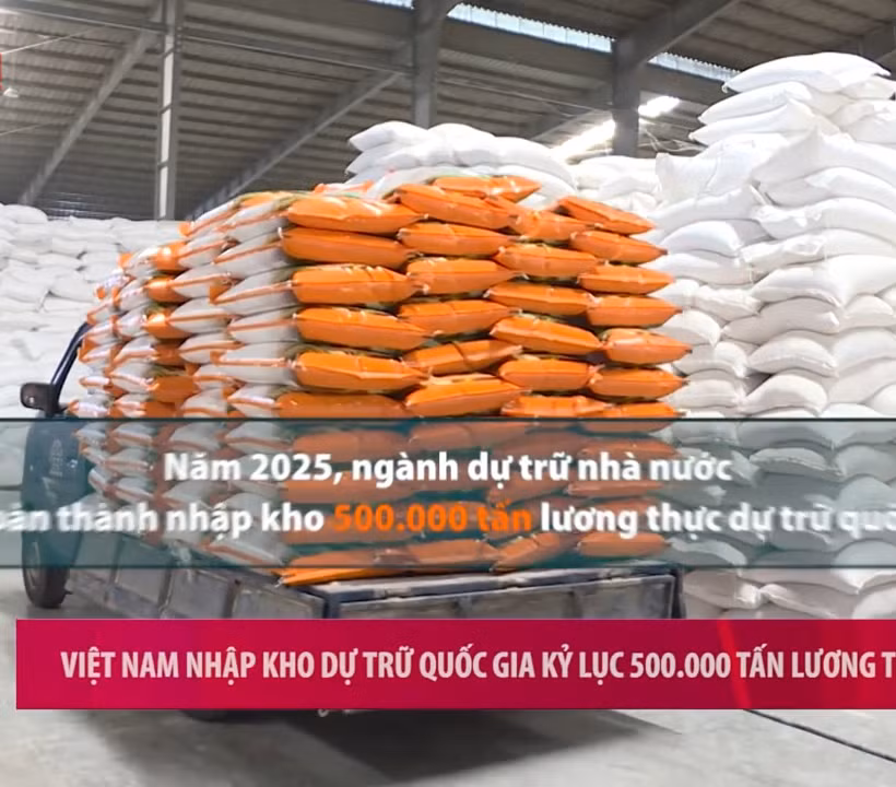 [Video] Việt Nam nhập kho dự trữ quốc gia kỷ lục 500.000 tấn lương thực
