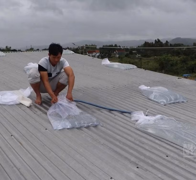 [Video] Nhiều cơn bão có thể ảnh hưởng đến đất liền Việt Nam tháng 7-12