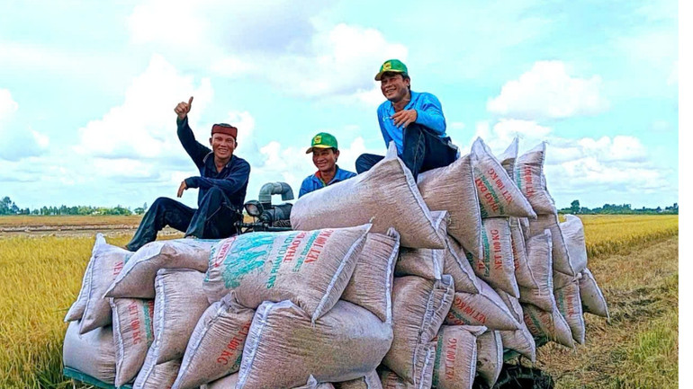 Cần thay đổi nhận thức của người nông dân về kỹ thuật sản xuất thích ứng với biến đổi khí hậu.