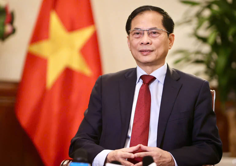 Phó Thủ tướng Chính phủ, Bộ trưởng Ngoại giao Bùi Thanh Sơn trả lời phỏng vấn báo chí Việt Nam. (Ảnh: Bộ Ngoại giao Việt Nam)