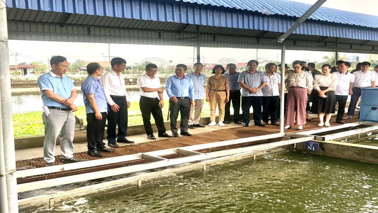 Các đại biểu tham quan mô hình nuôi thủy sản tại Hải Dương.