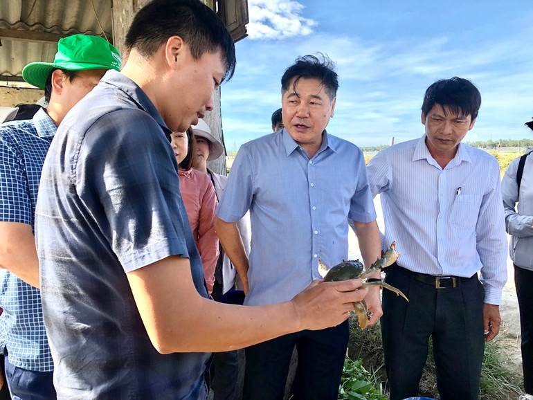 Giám đốc Trung tâm Khuyến nông quốc gia Lê Quốc Thanh tham quan mô hình nuôi cua gạch tại xã Phú Gia, huyện Phú Vang, tỉnh Thừa Thiên Huế. Giám đốc Trung tâm Khuyến nông quốc gia Lê Quốc Thanh tham quan mô hình nuôi cua gạch tại xã Phú Gia, huyện Phú Vang, tỉnh Thừa Thiên Huế.