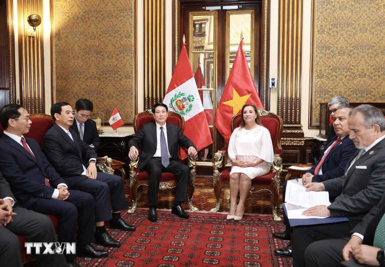 Tổng thống Peru Dina Ercilia Boluarte Zegarra và Chủ tịch nước Lương Cường hội đàm hẹp. (Ảnh: Lâm Khánh/TTXVN) Tổng thống Peru Dina Ercilia Boluarte Zegarra và Chủ tịch nước Lương Cường hội đàm hẹp. (Ảnh: Lâm Khánh/TTXVN)