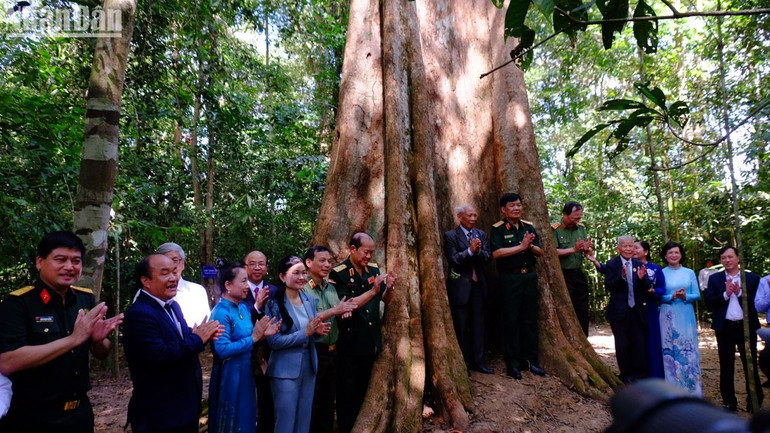 Các đại biểu chụp hình tại cây di sản Việt Nam tại rừng Mã Đà.