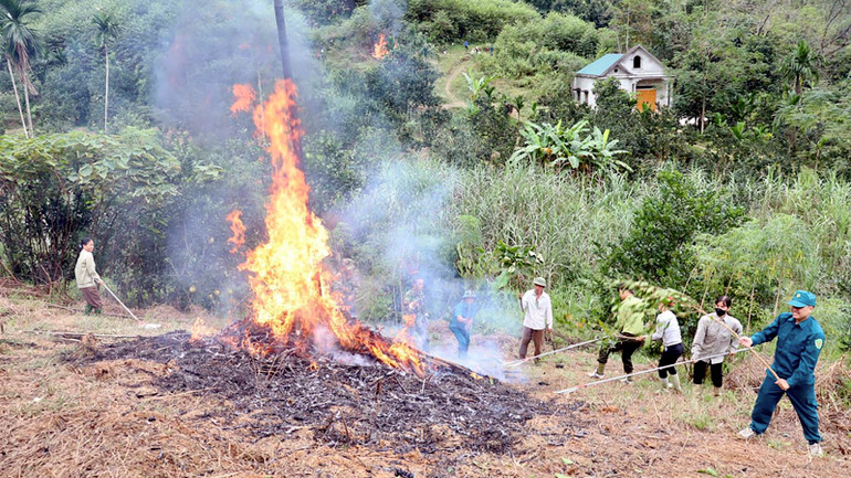 Công ty TNHH Lâm nghiệp Yên Sơn phối hợp với các lực lượng chức năng diễn tập chữa cháy rừng.
