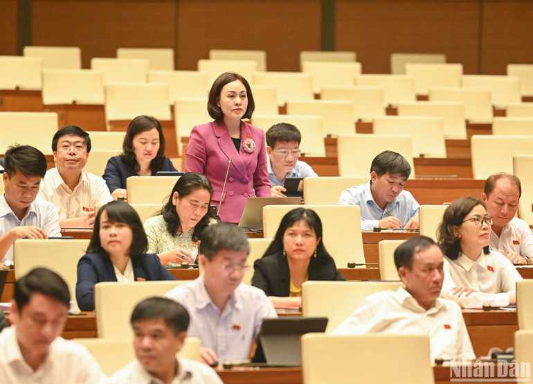 Đại biểu Quốc hội Trần Thị Hồng Thanh (tỉnh Ninh Bình) phát biểu ý kiến tại phiên họp.