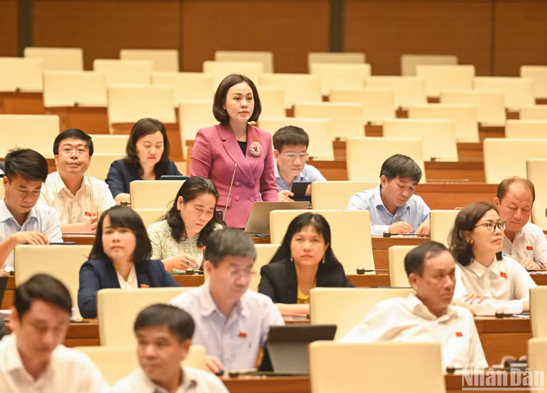 Đại biểu Quốc hội Trần Thị Hồng Thanh (tỉnh Ninh Bình) phát biểu ý kiến tại phiên họp. Đại biểu Quốc hội Trần Thị Hồng Thanh (tỉnh Ninh Bình) phát biểu ý kiến tại phiên họp.