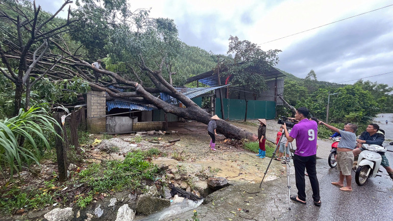 Cây đổ vào nhà dân tại huyện Sơn Dương, rất may không có thiệt hại về người.