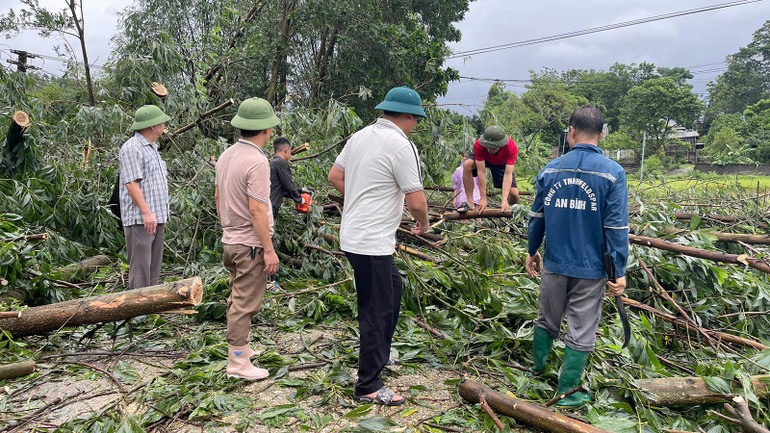 Người dân thôn Ba Nhà xã Sơn Nam, huyện Sơn Dương, dọn dẹp những cây xanh bị đổ tại tuyến đường liên thôn.