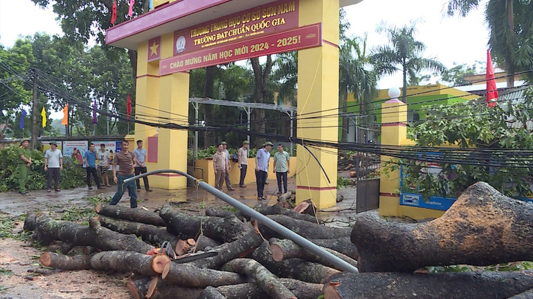 Lực lượng chức năng dọn dẹp cây đổ tại trường THCS Sơn Nam, huyện Sơn Dương.