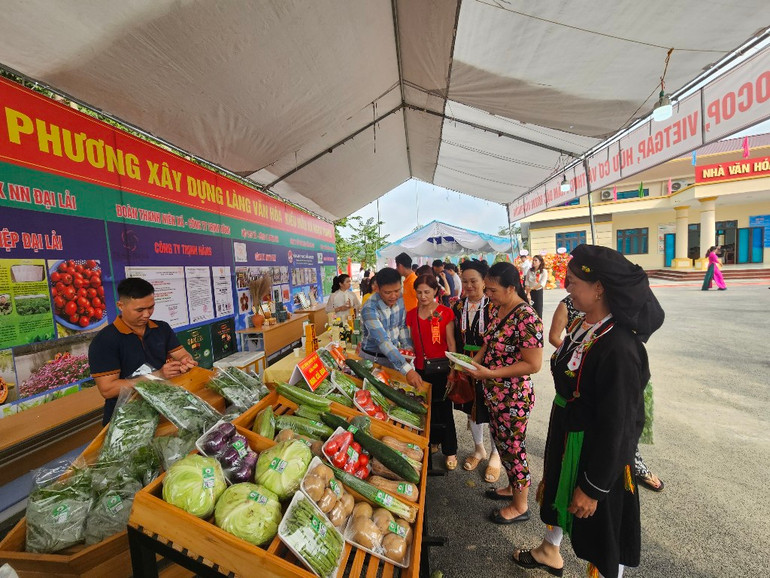 Nhân dân tham quan gian trưng bày nông sản tại Làng văn hóa kiểu mẫu Lập Đinh, xã Ngọc Thanh, thành phố Phúc Yên.