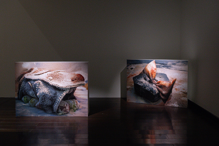 Tác phẩm "Chiếc áo mùa xuân" của Diane Severin Nguyen. Tác phẩm "Chiếc áo mùa xuân" của Diane Severin Nguyen.