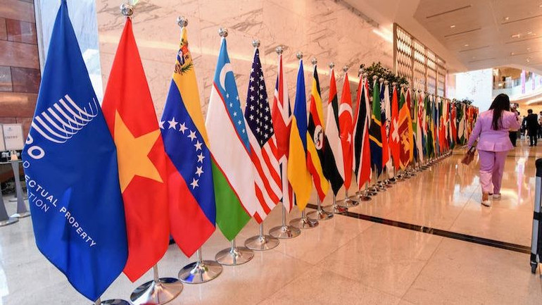 WAVES 2025 có sự tham gia của 77 quốc gia, nhiều tổ chức quốc tế, liên minh toàn cầu. (Ảnh: Đại sứ quán Ấn Độ tại Việt Nam)