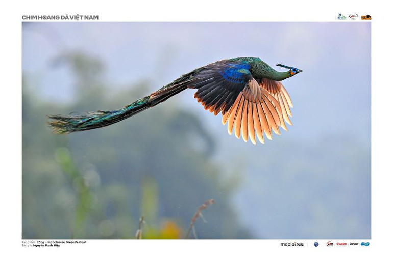 Tác phẩm "Công" (tác giả Nguyễn mạnh Hiệp), giải Nhì. Ảnh: Ban tổ chức cung cấp