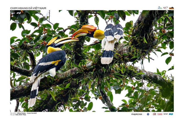 Tác phẩm "Hồng hoàng" (tác giả Kiều Đình Tháp), giải Nhì. Ảnh: Ban tổ chức cung cấp