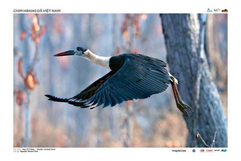 Tác phẩm "Hạc cổ trắng" (tác giả Nguyễn Thanh Liêm), giải Ba. Ảnh: Ban tổ chức cung cấp