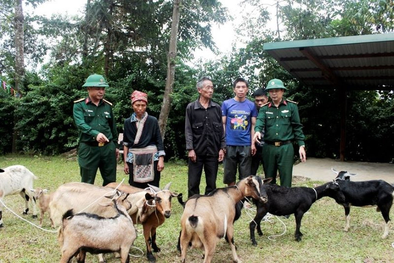 Đoàn Kinh tế- Quốc phòng 345 cấp dê giống cho người dân xã A Lù (Bát Xát-Lào Cai) để chăn nuôi, thoát nghèo. Đoàn Kinh tế- Quốc phòng 345 cấp dê giống cho người dân xã A Lù (Bát Xát-Lào Cai) để chăn nuôi, thoát nghèo.