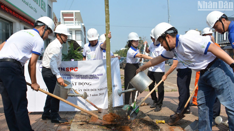 Các đơn vị trồng cây xanh hưởng ứng chiến dịch Giờ Trái đất năm 2025.