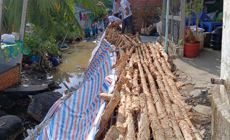 Lối đi tạm bằng cây đã được làm cho 10 hộ dân đi lại.