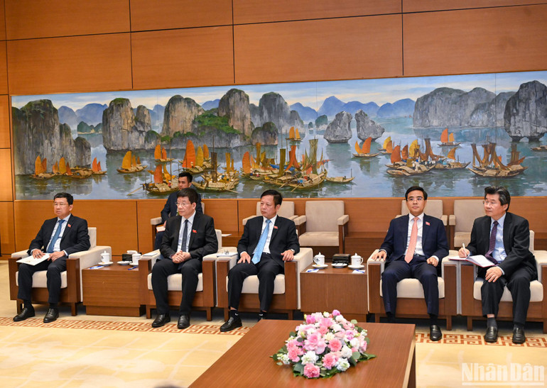 Các thành viên Quốc hội Việt Nam và các đại biểu dự buổi tiếp.