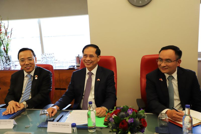 Bộ trưởng Bùi Thanh Sơn tại buổi tiếp.