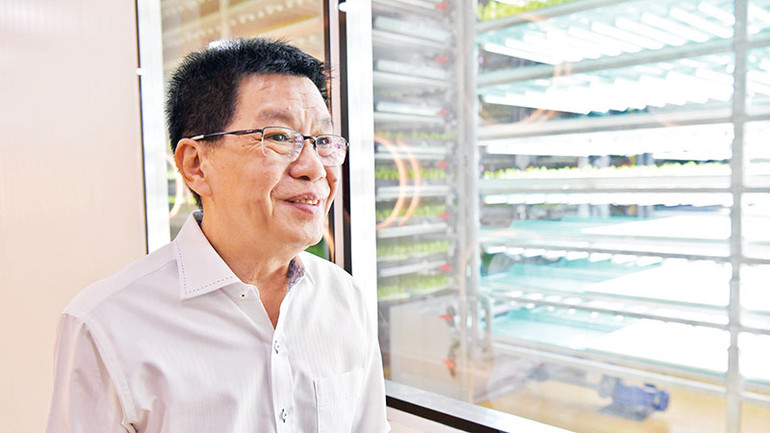 Ông Lâm giới thiệu khu trồng rau sạch bằng công nghệ Nhật Bản